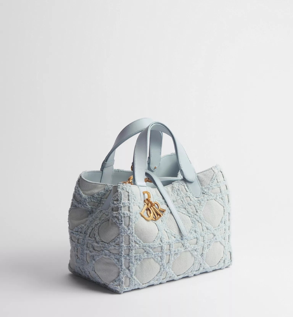 DIOR Toujours 中型手提包