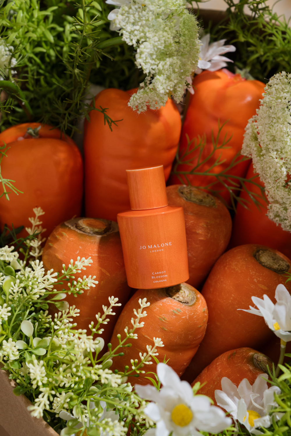 Jo Malone 蕾絲胡蘿蔔花香水Carrot Blossom Cologne
