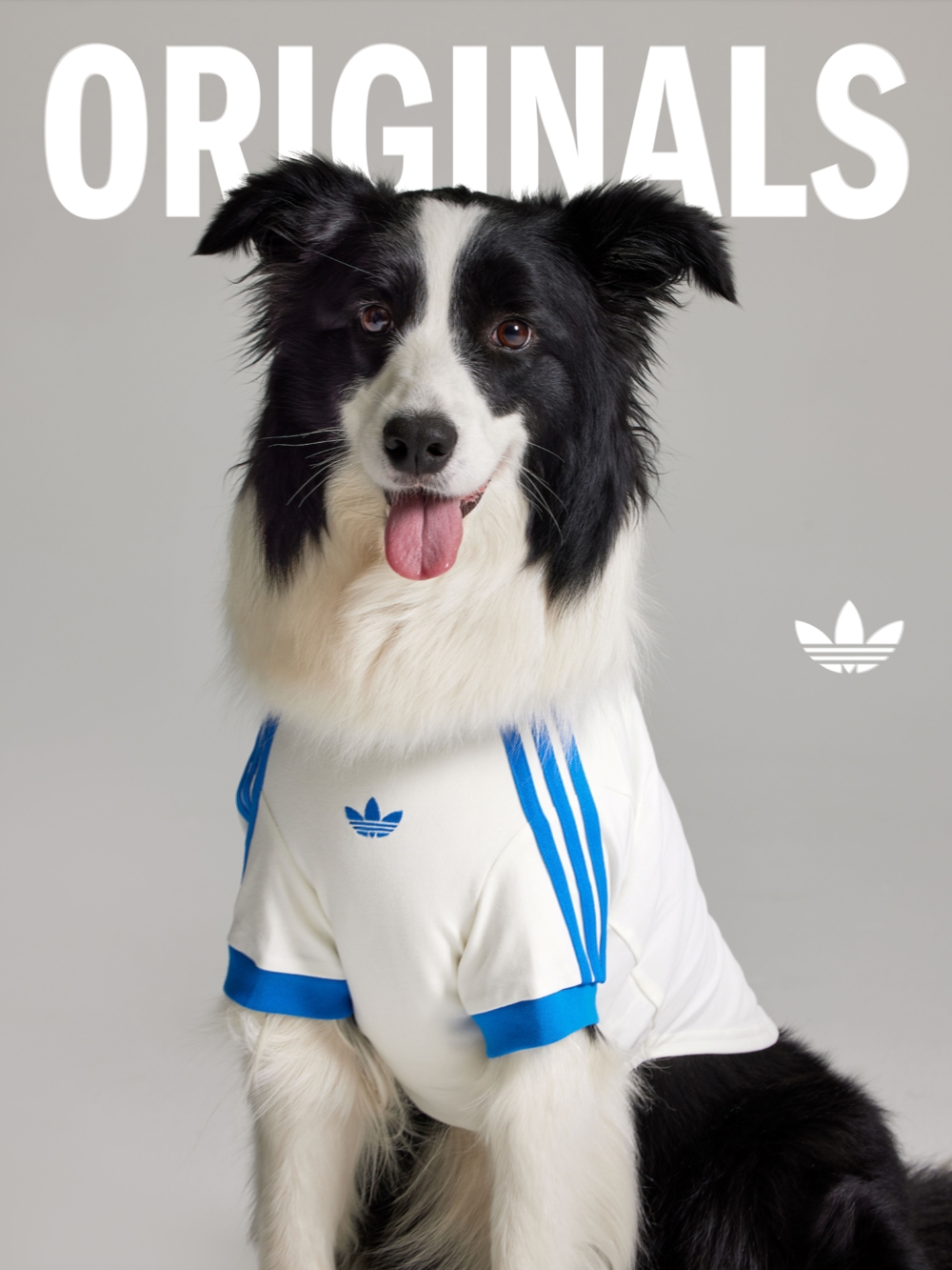 adidas Originals推出寵物系列