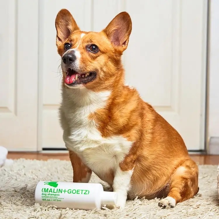 (MALIN+GOETZ)推出犬用洗毛精