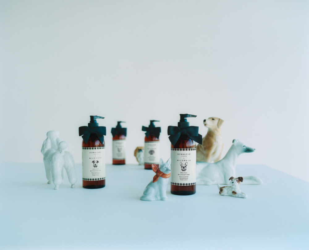Jo Malone London近期便攜手英國寵物護理品牌WildWash推出「柑橘與雪松洗毛精」