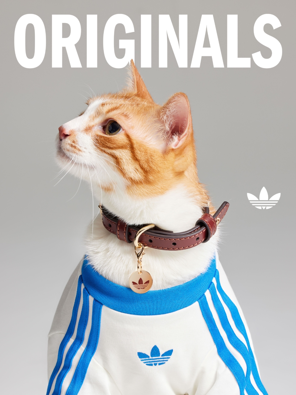 adidas Originals將品牌經典的三條線與Trefoil三葉草Logo延伸到狗狗與貓咪服裝及配件上